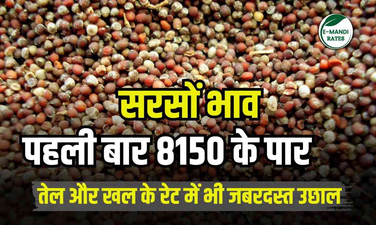 Mustard prices broke all records of rise for the first time