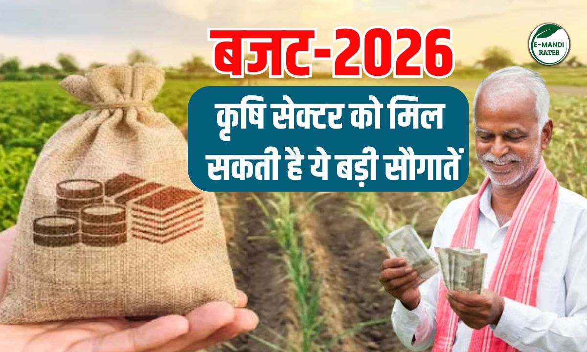 Budget 2026 Expectations for Agriculture Sector