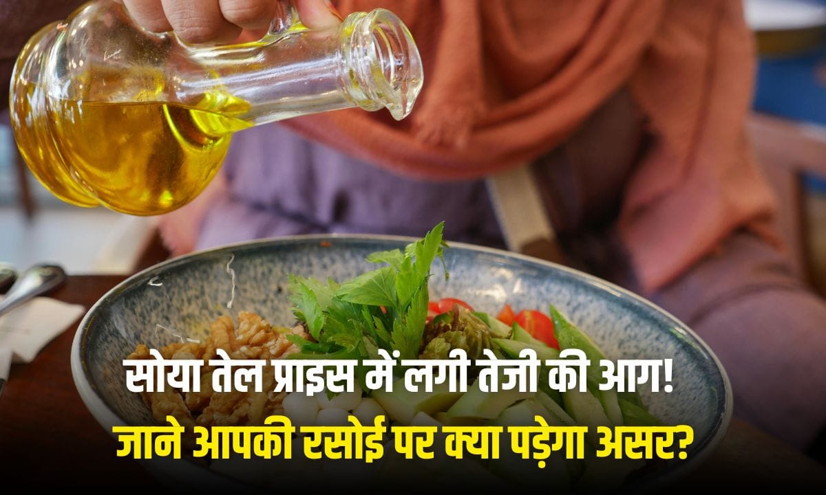 Edible Oil Price 19 january 2026