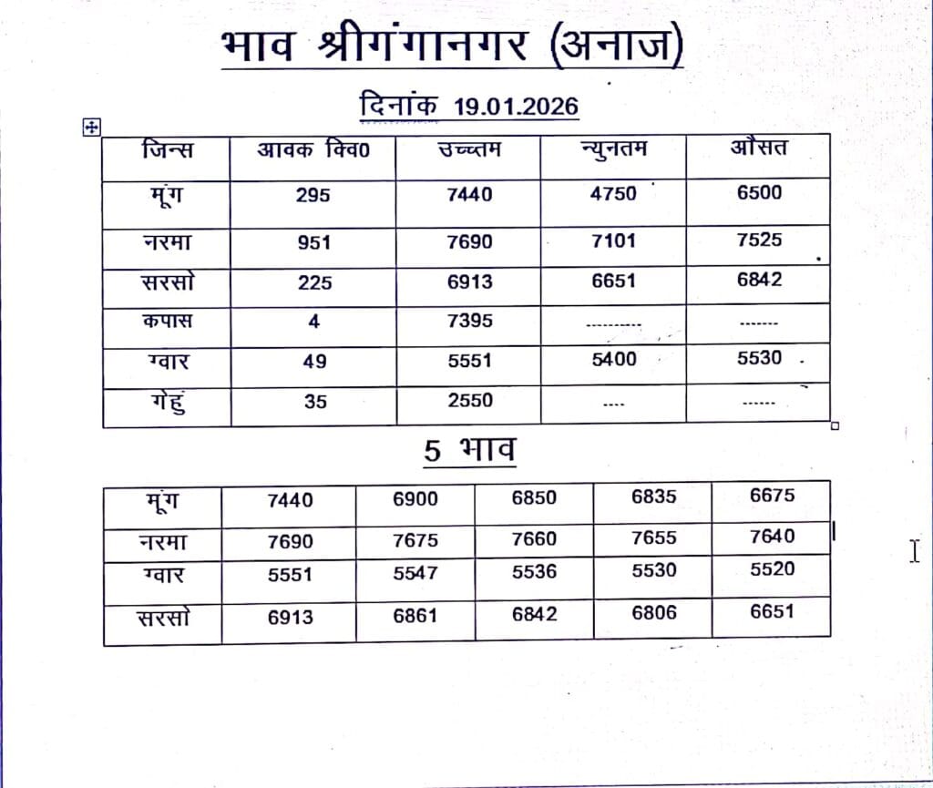 श्री गंगानगर मंडी रेट