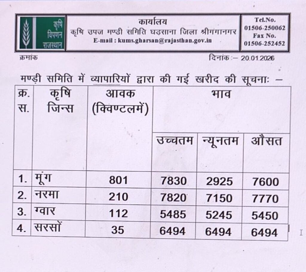 घड़साना मंडी के भाव 