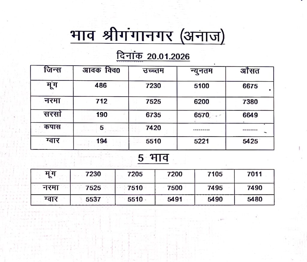 श्री गंगानगर मंडी का भाव 