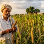 El Nino के बीच किसान करें इन फसलों की खेती, सूखे से निपटने के लिए अपनाएं ये आसान तरीके