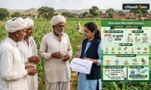 PM Fasal Bima Yojana: राजस्थान में 31 जुलाई तक कराएं खरीफ फसलों का बीमा, जानें बीमा की पूरी प्रोसेस