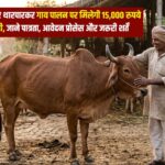 गाय पालन पर ₹15,000 तक की सब्सिडी, जानें कैसे मिलेगा लाभ