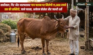 गाय पालन पर ₹15,000 तक की सब्सिडी, जानें कैसे मिलेगा लाभ