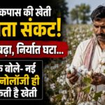 कपास की खेती मंडराता संकट! आयात बढ़ा, निर्यात घटा…वैज्ञानिक बोले- नई GM टेक्नोलॉजी की जरूरत