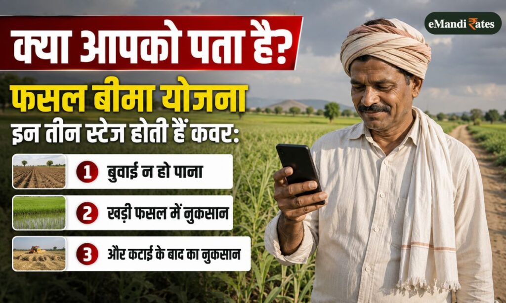 crop insurance 3 protection stages explained