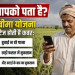 PM Fasal Bima Yojana: बुवाई से लेकर कटाई के बाद तक इन 3 स्टेज में मिलता है बीमा, जानिए पूरी जानकारी