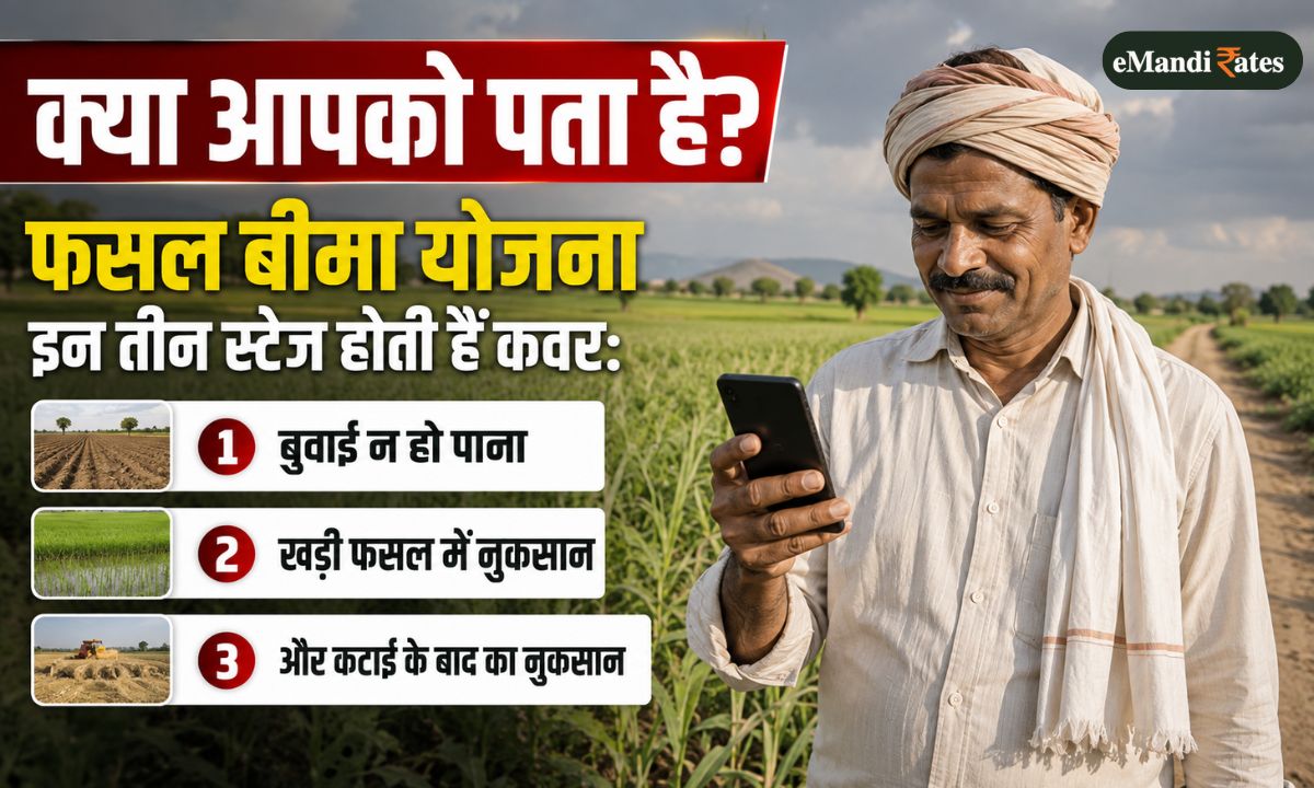 crop insurance 3 protection stages explained